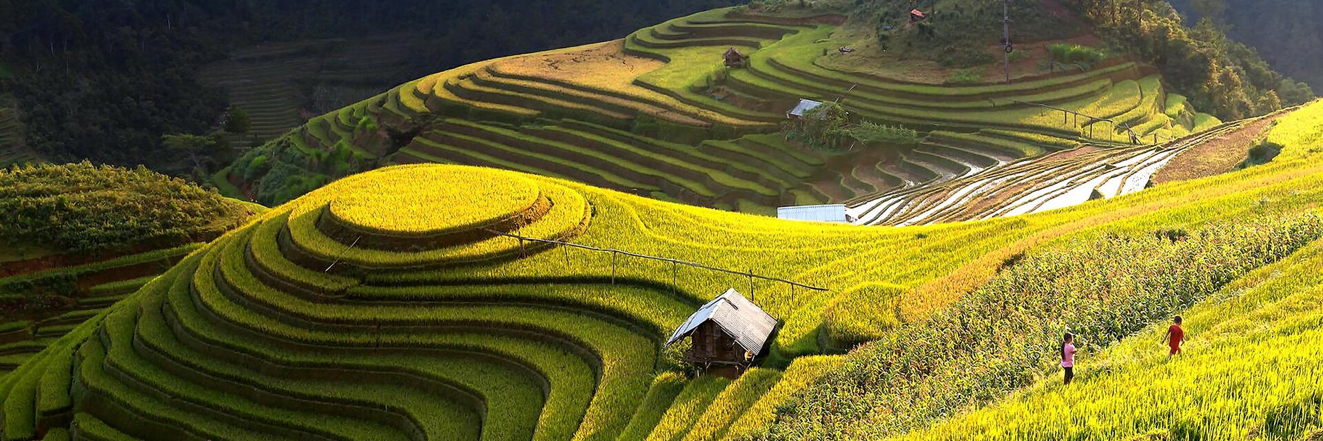 Doing business in Vietnam: exploring opportunities in the local agrifood sector