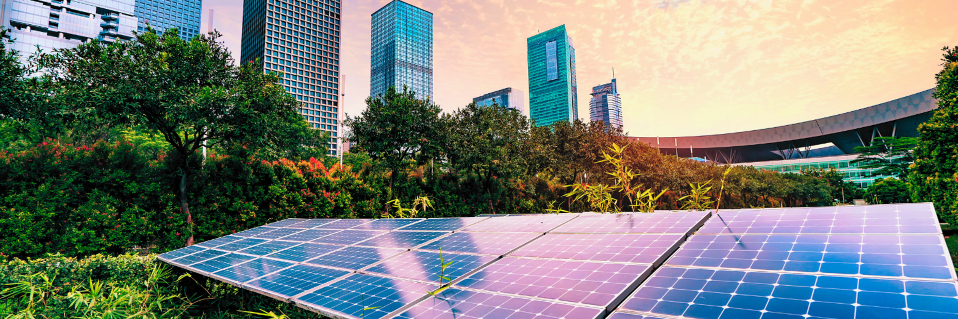 Doing business in the United States: what you need to know about the US sustainable energy market