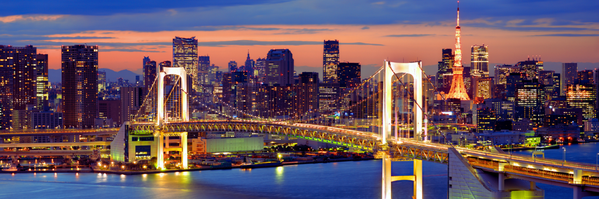 Doing business in Japan: opportunities for EU businesses in the biotech and digital innovation sectors