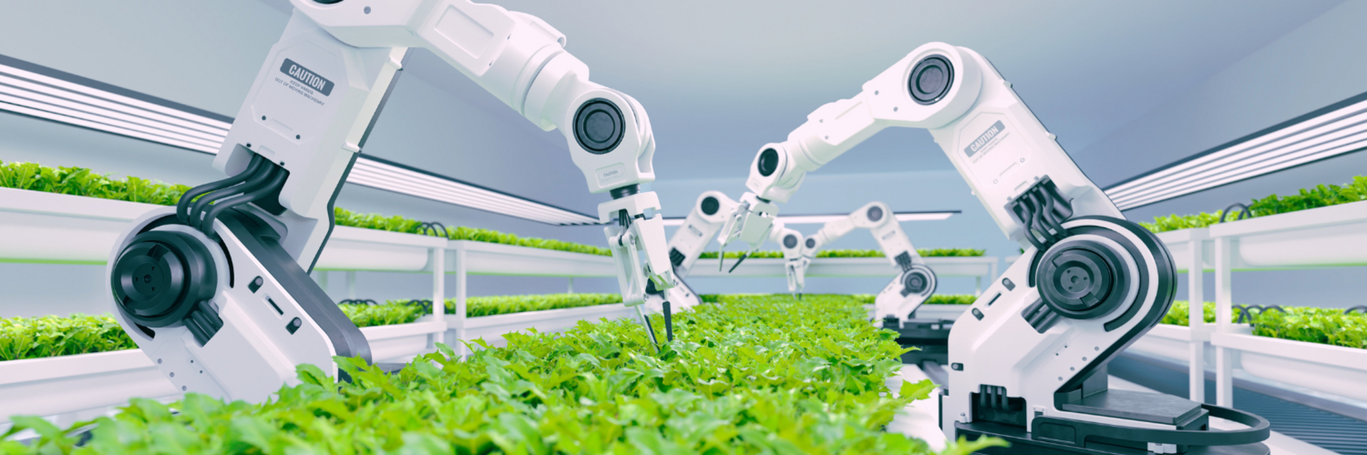 Doing business in Japan: opportunities for EU businesses in the green technologies and robotics market