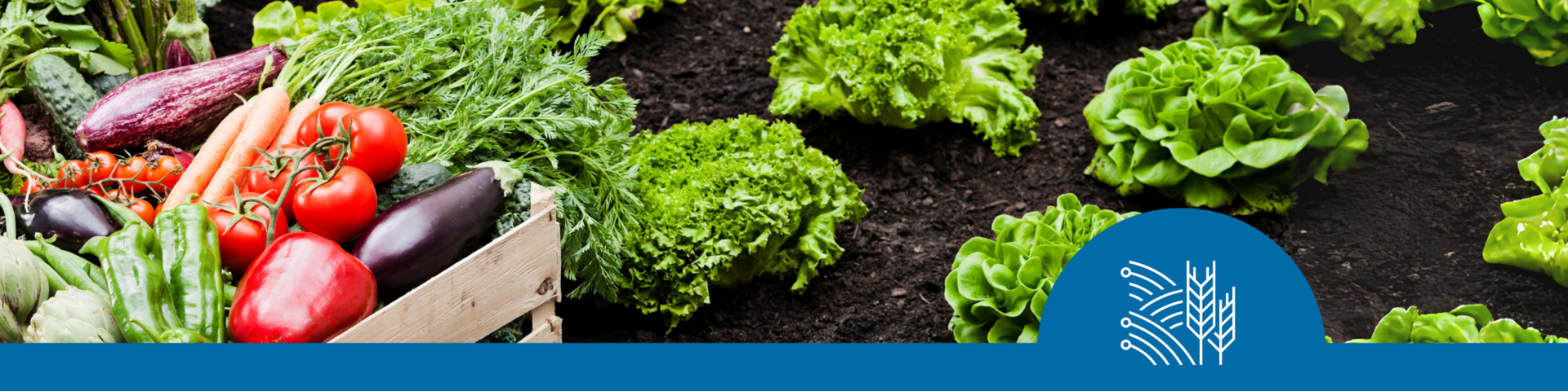 Agri-food banner